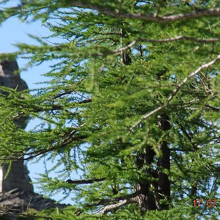 Hotel Restaurant Monte Leone