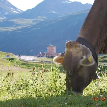 蒙特利昂餐厅酒店